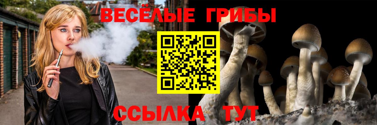 Галлюциногенные грибы Psilocybe  Вход с VPN  Калининград 